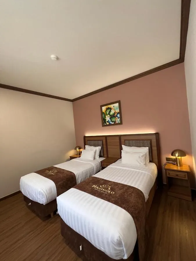 Nancy Tran Grand Strip Villa 12 Vung Tau